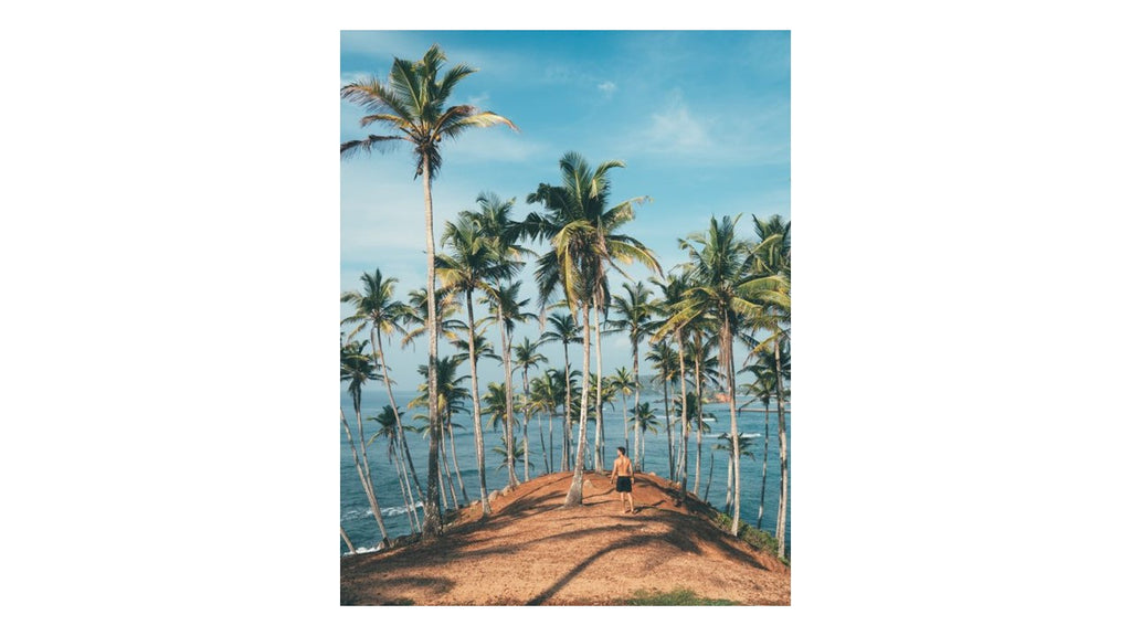 New Year Holiday